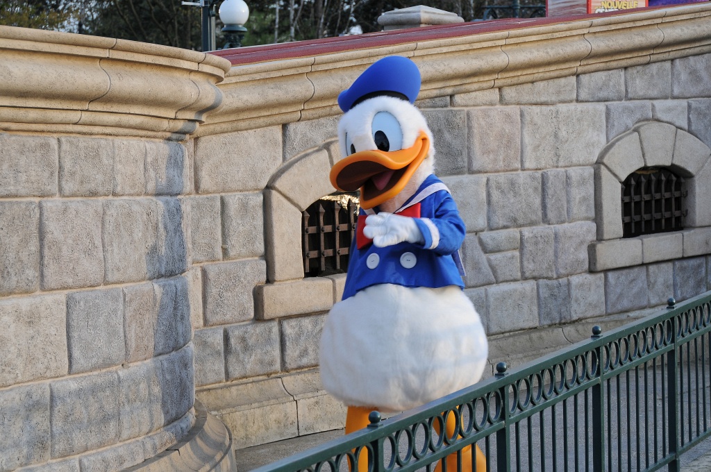 DSC_8180_DxO.jpg