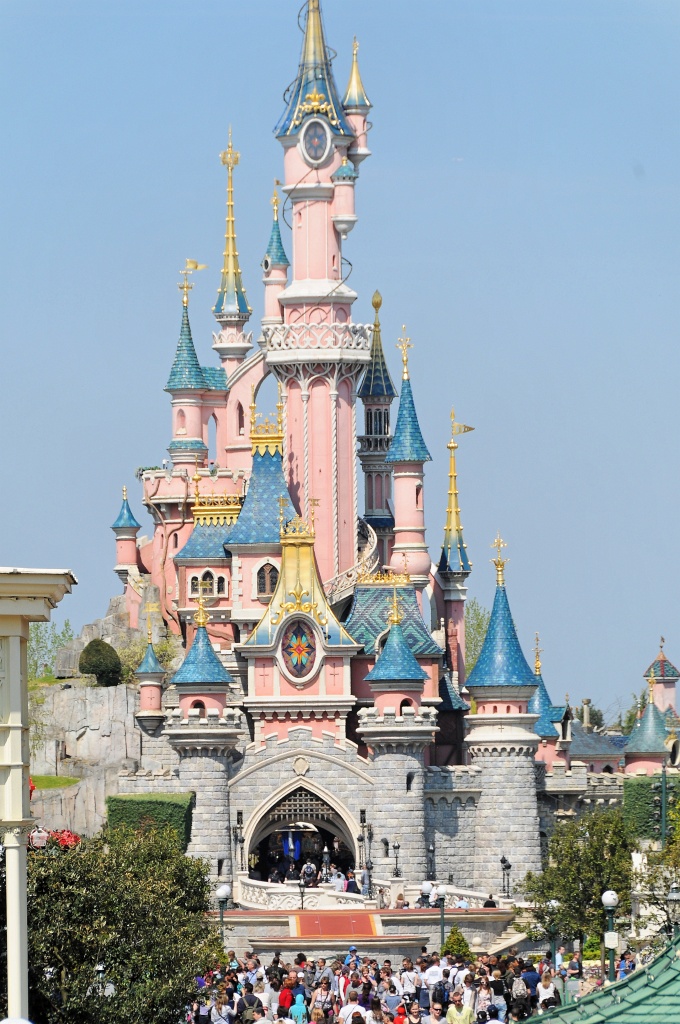 DSC_8557_DxV2.jpg