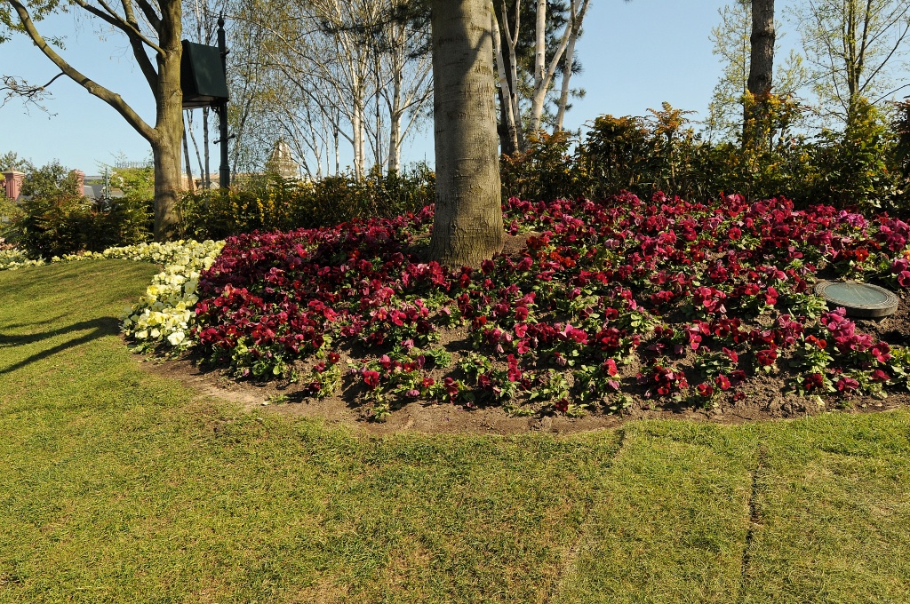 DSC_8689_DxO.jpg