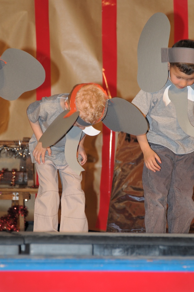 DSC_9246_DxO.jpg