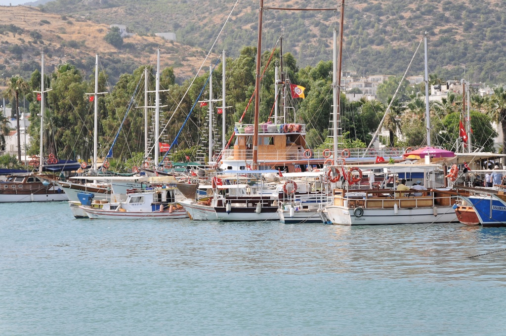 DSC_0239_DxO.jpg