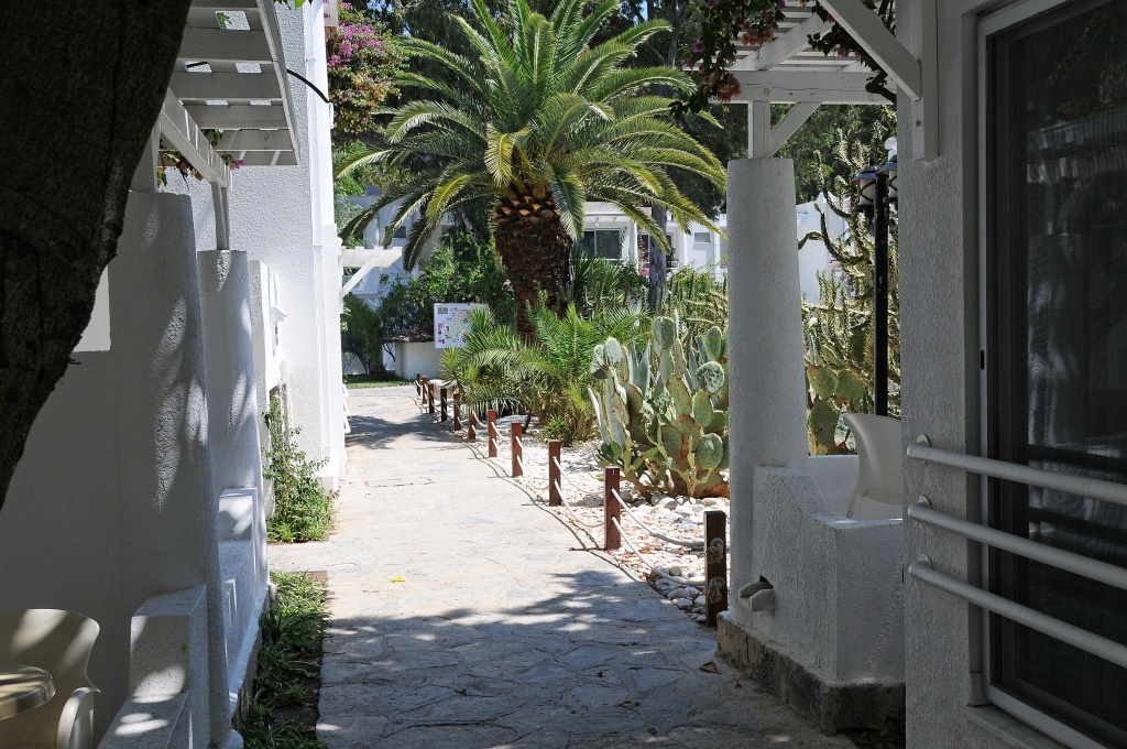 DSC_9901_DxO.jpg