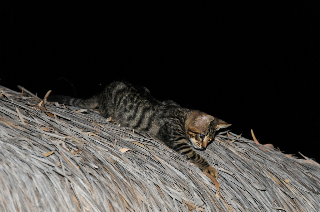 DSC_0312_DxO.jpg