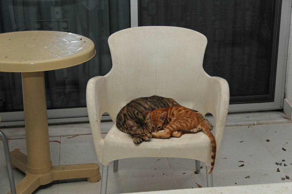 DSC_0317_DxO.jpg