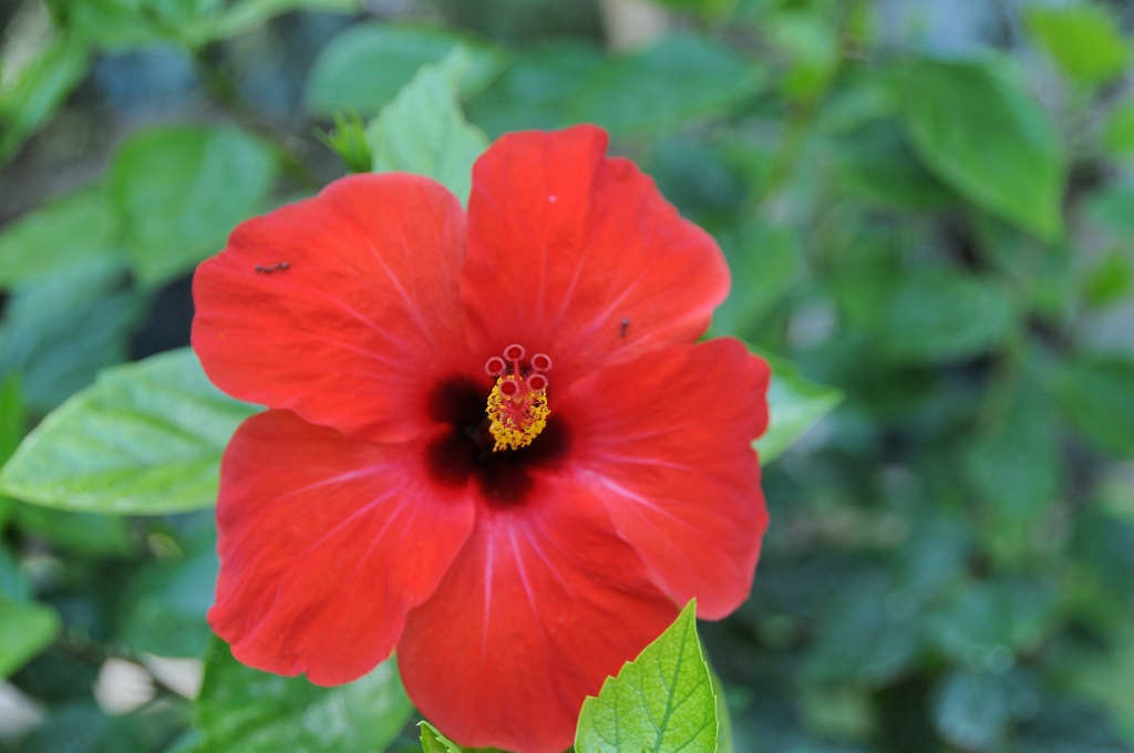 DSC_0634_DxO.jpg