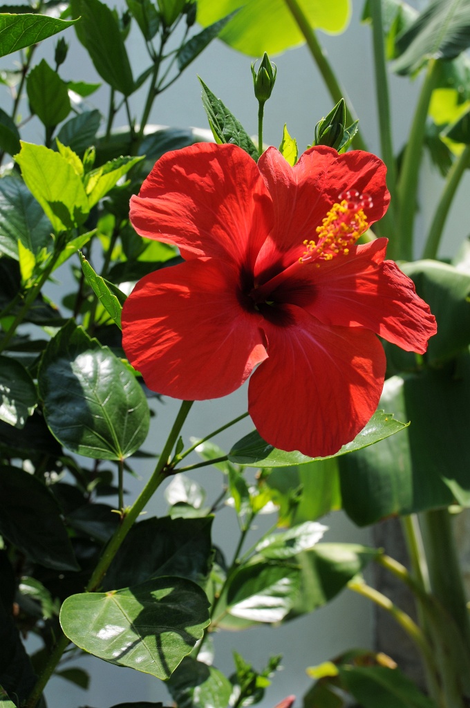 DSC_0649_DxO.jpg