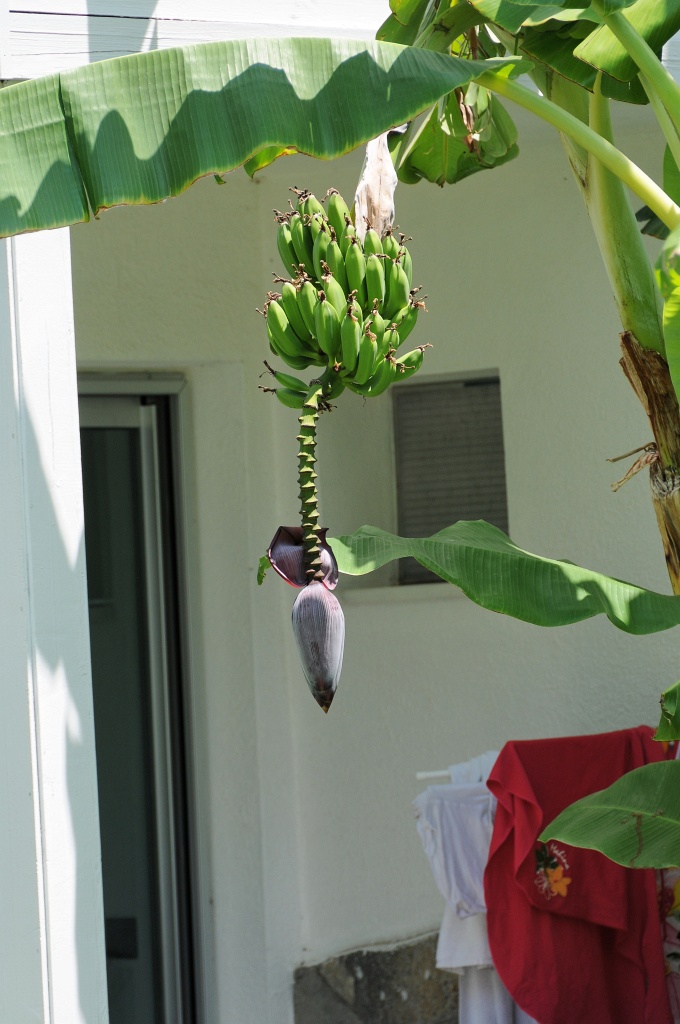 DSC_0662_DxO.jpg