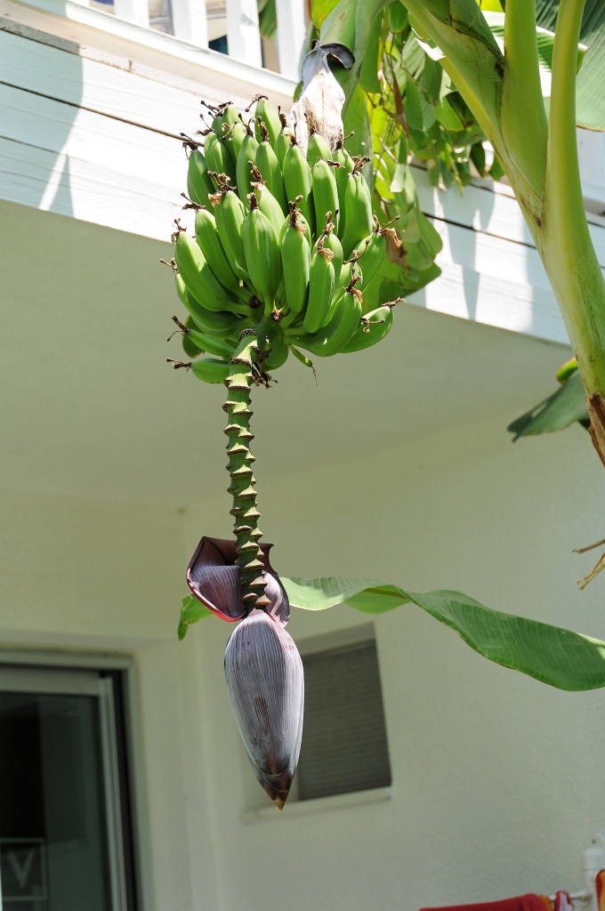 DSC_0666_DxO.jpg