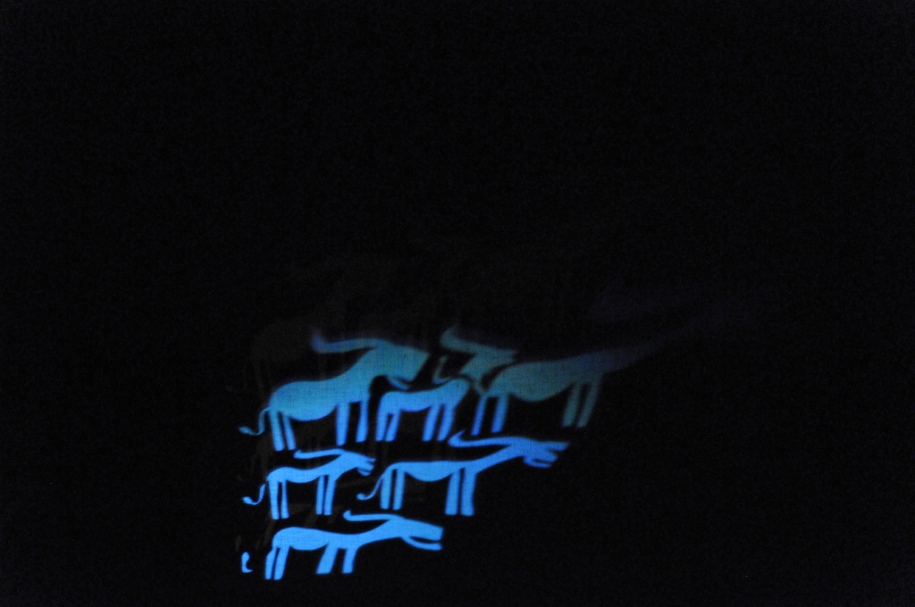 DSC_1204_DxL.jpg