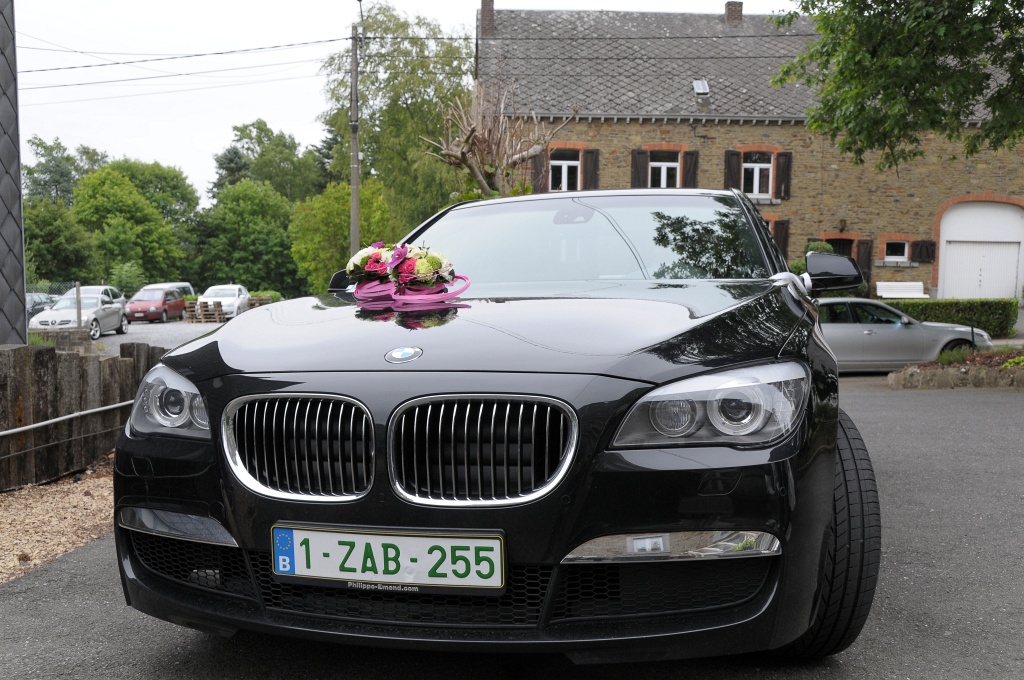 DSC_2997_DxL.jpg