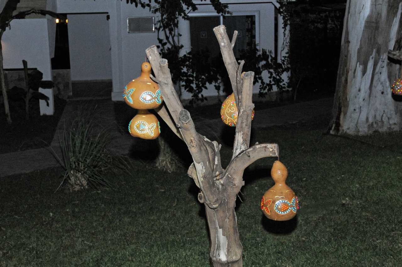 DSC_3080_DxO.jpg