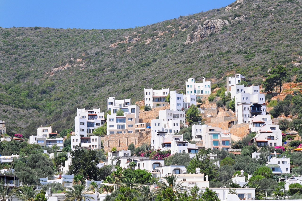 DSC_3834_DxV3.jpg