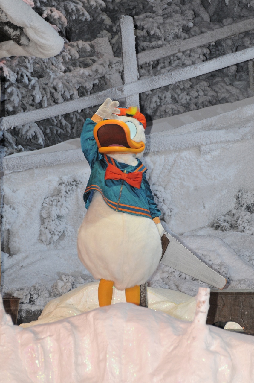 DSC_4705_DxO.jpg