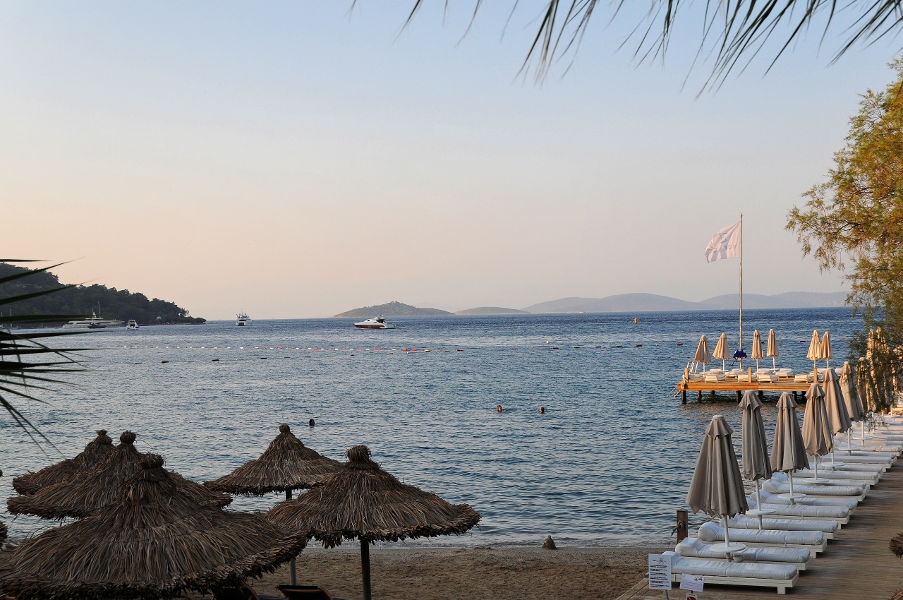 DSC_7631_DxV2.jpg