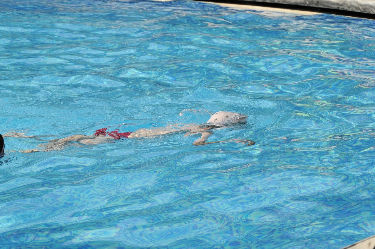 DSC_7386_DxO.jpg