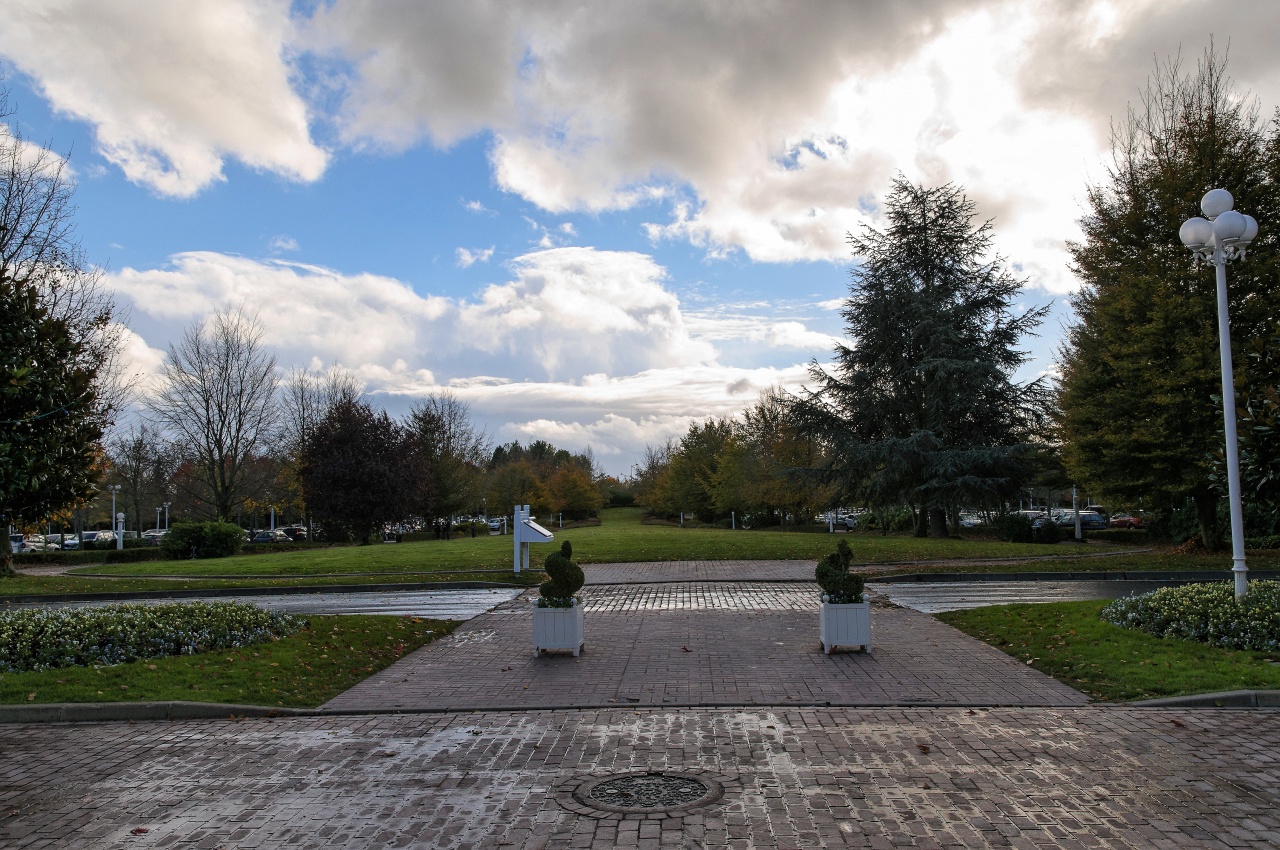DSC_9296_R-2_DxV2.jpg