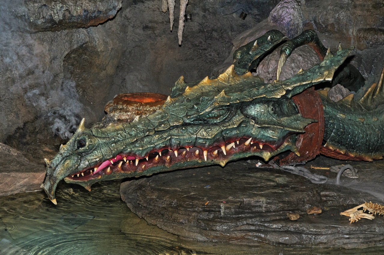 DSC_9339_R_DxO.jpg