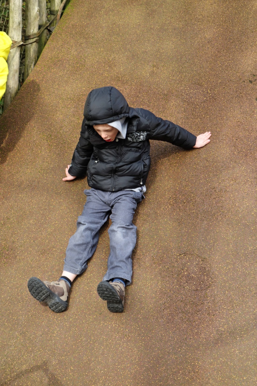 DSC00241_DxV.jpg