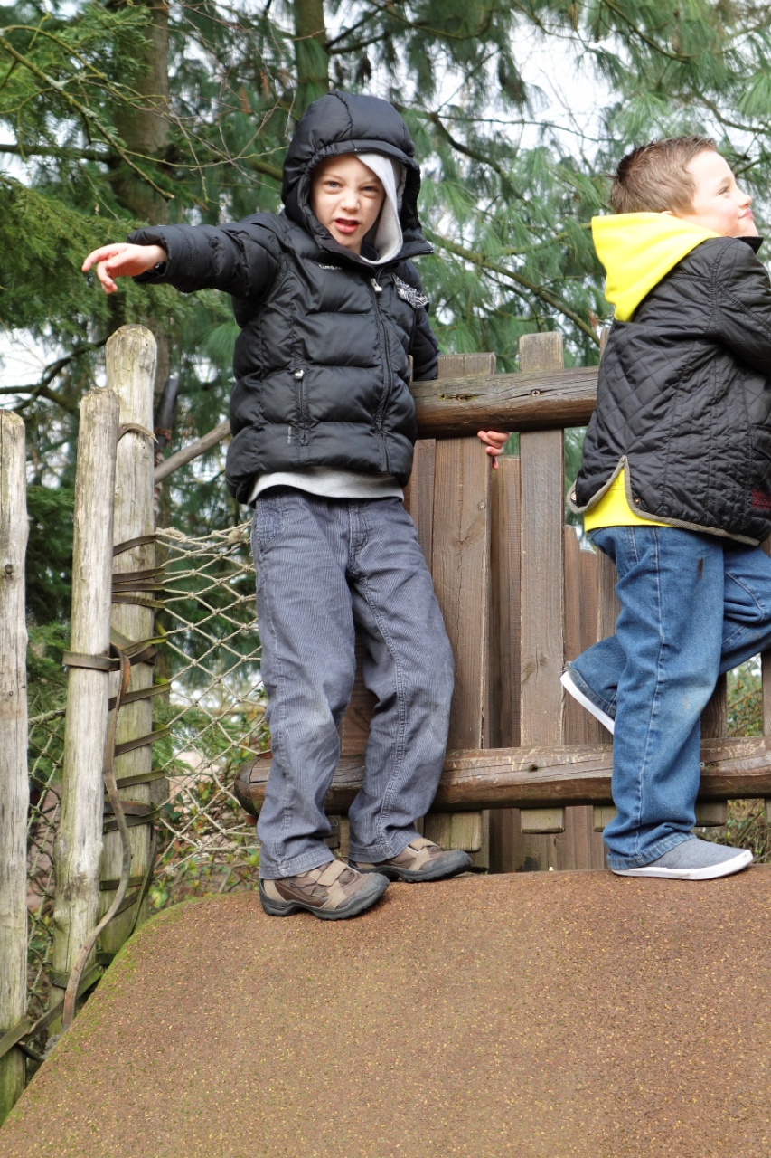DSC00247_DxV.jpg