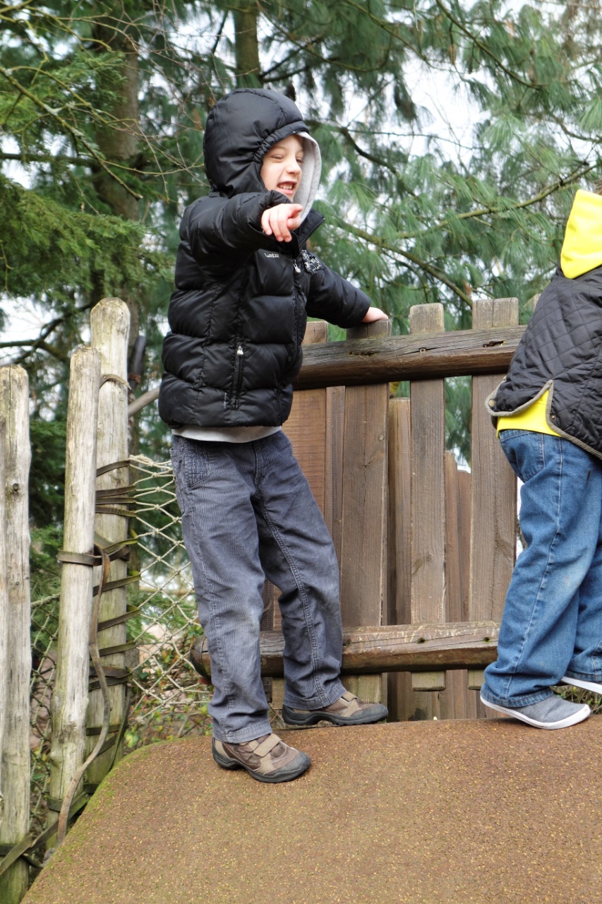 DSC00251_DxV.jpg