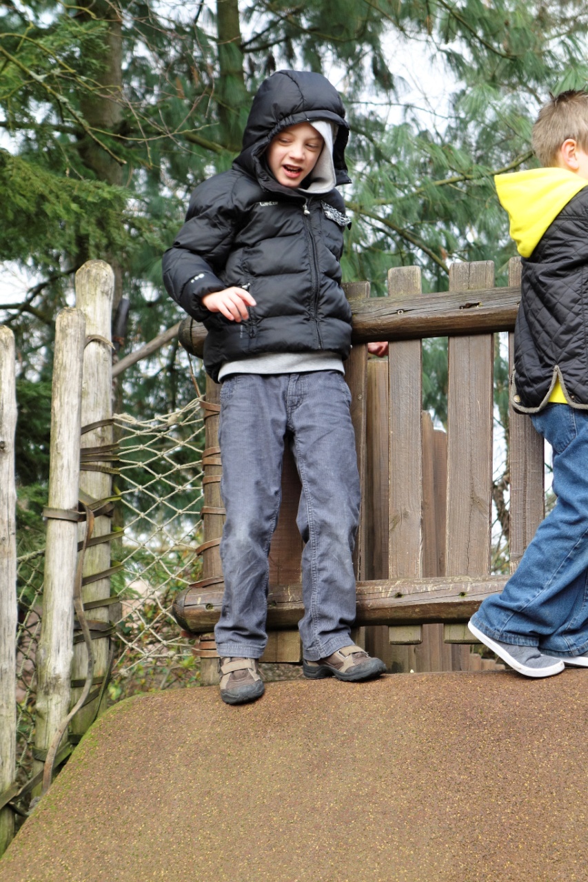 DSC00253_DxV.jpg